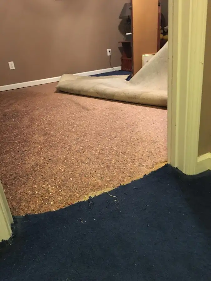 Carpet pad removal revealing water damage during Water Mitigation Services in Clarkson