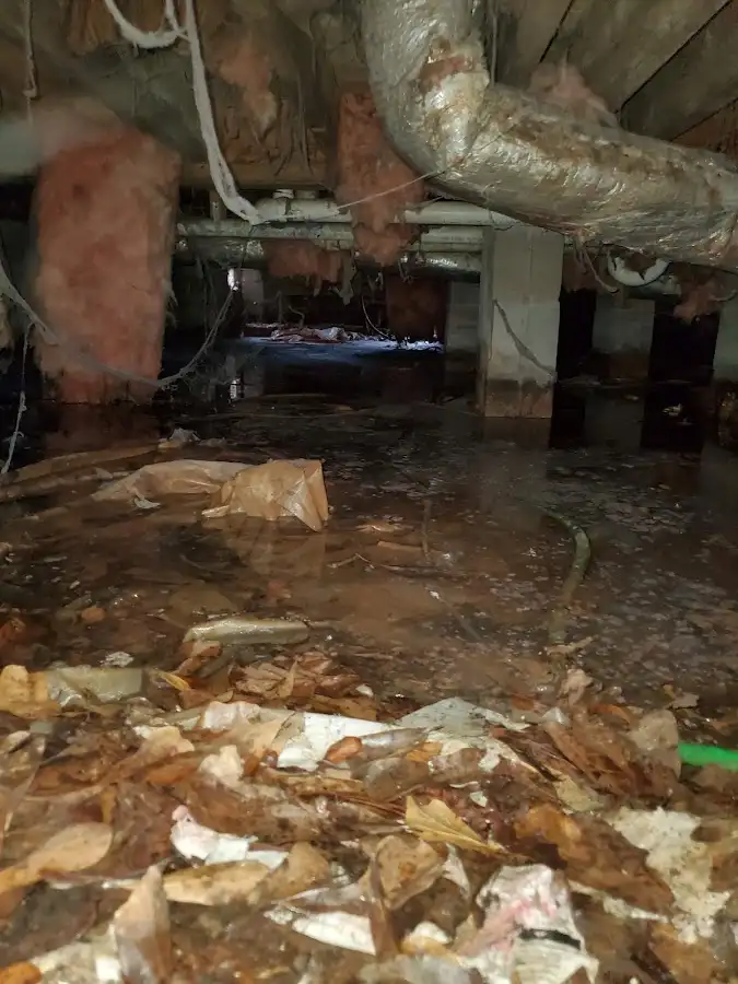 Crawl space flood assessment for Leak Detection & Repair in Clarkson