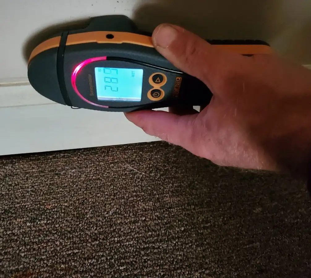 Moisture detection at baseboard during Burst Pipe Cleanup in Clarkson